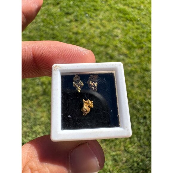 Arizona Gold Nuggets in Display Case - 0.88 grams - Picture 3 of 7